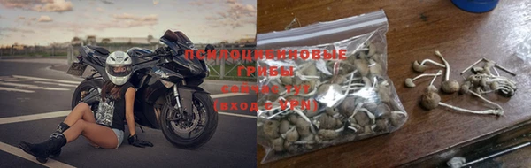 дживик Протвино
