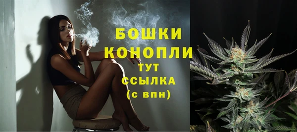 эйфоретик Пролетарск