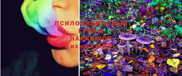 дживик Протвино