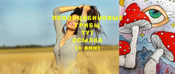эйфоретик Пролетарск