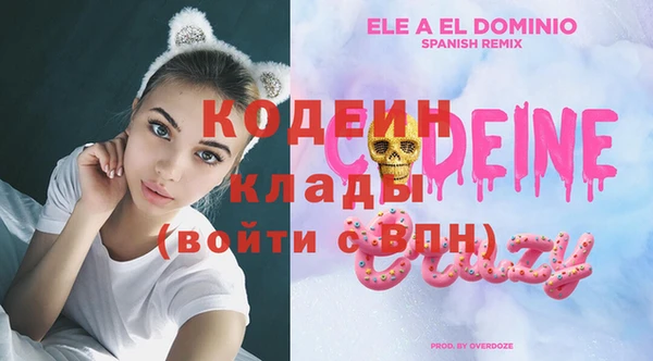 дживик Протвино